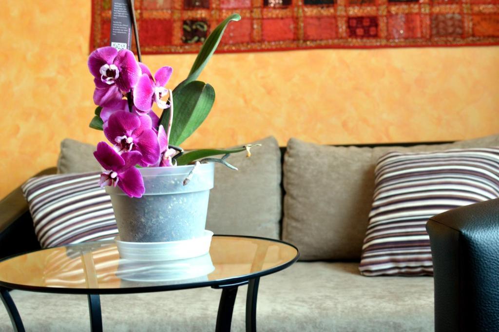 Flamingo Vendeghaz Bed & Breakfast Егер Екстериор снимка